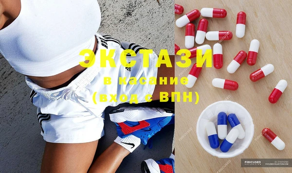 индика Абаза