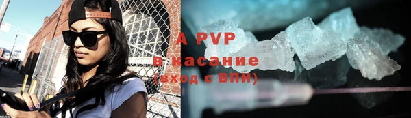 индика Абаза