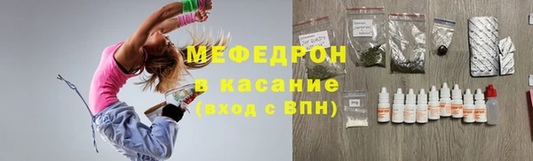 индика Абаза