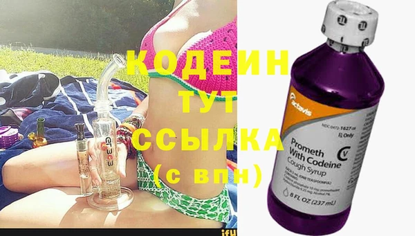индика Абаза