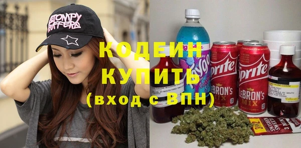 индика Абаза