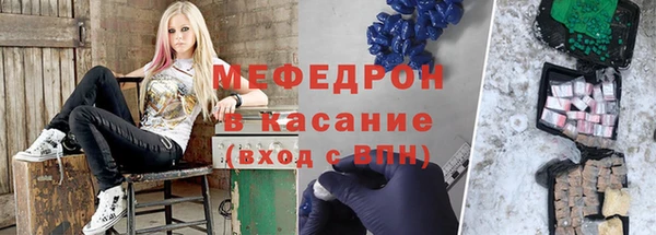 индика Абаза