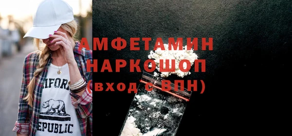 индика Абаза