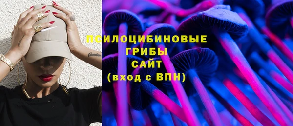 индика Абаза
