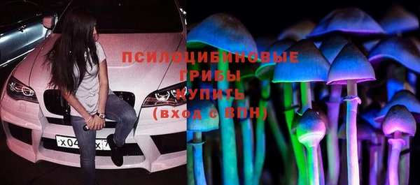индика Абаза